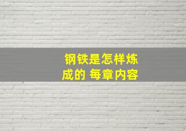 钢铁是怎样炼成的 每章内容